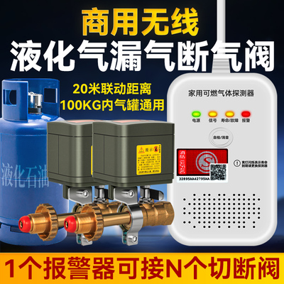家用无线燃气报警器液化气漏气断气阀机械手煤气罐电动阀门控制器