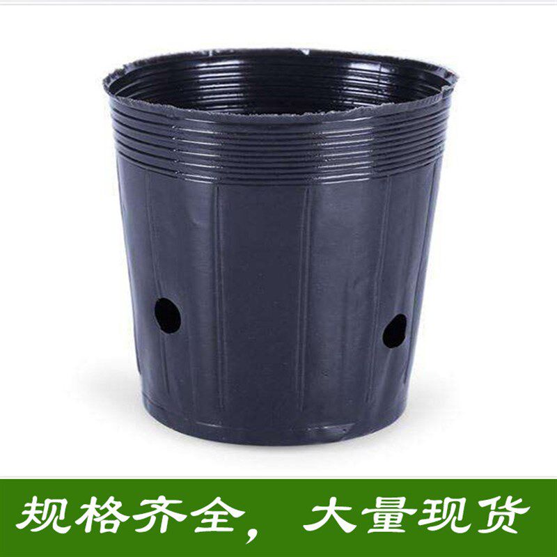 营养钵 营养杯 育苗袋 园艺育苗杯种植袋植树袋 黑色软塑料花盆