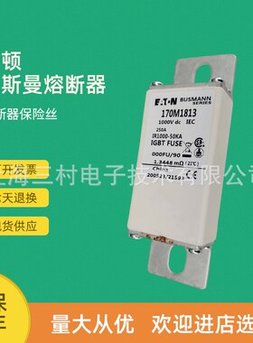 全新原装现货快速熔断器保险丝断路器170M1833 170M1842 170M1843