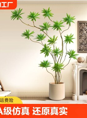 绿植百合竹落地仿真室内假树饰客厅级玄关卧室