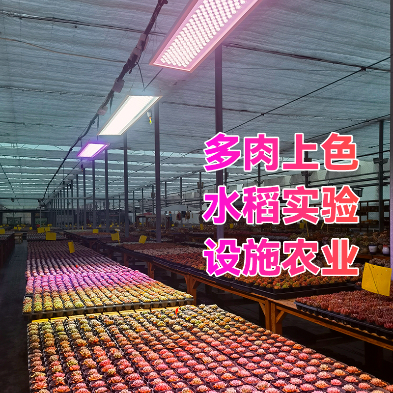 贵翔 植物生长灯全光谱仿太阳光LED灯水稻光合作用多肉补光灯上色