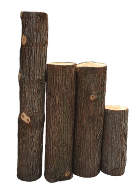带皮大树干装饰圆木桩杉木头墩客厅民宿隔断屏风酒吧空间立柱