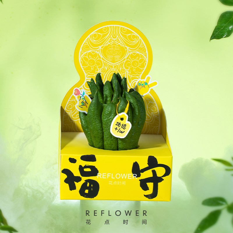 花点时间佛手柑新鲜切枝室内植物水养绿植闻香观赏盆栽果天然香薰