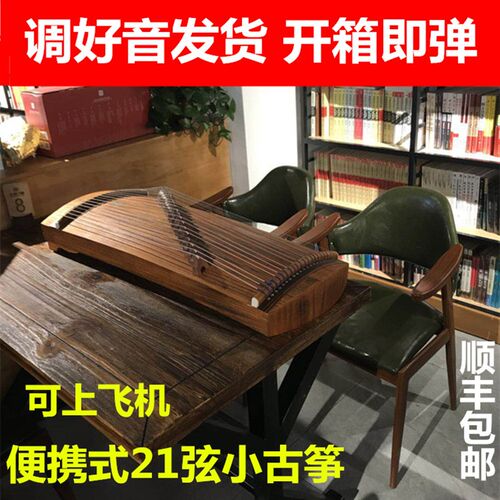 2弦迷你小古筝 m便携式半筝 初学入门演奏小型练习筝米