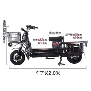大力神载重王电动车快递拉货两轮山区爬坡王车