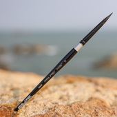 美术生勾线水粉 总和 黑天鹅水彩笔