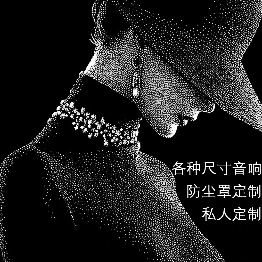 全尺寸定制音响防尘罩面罩各品牌音响保护防尘套布艺挂画按需定制