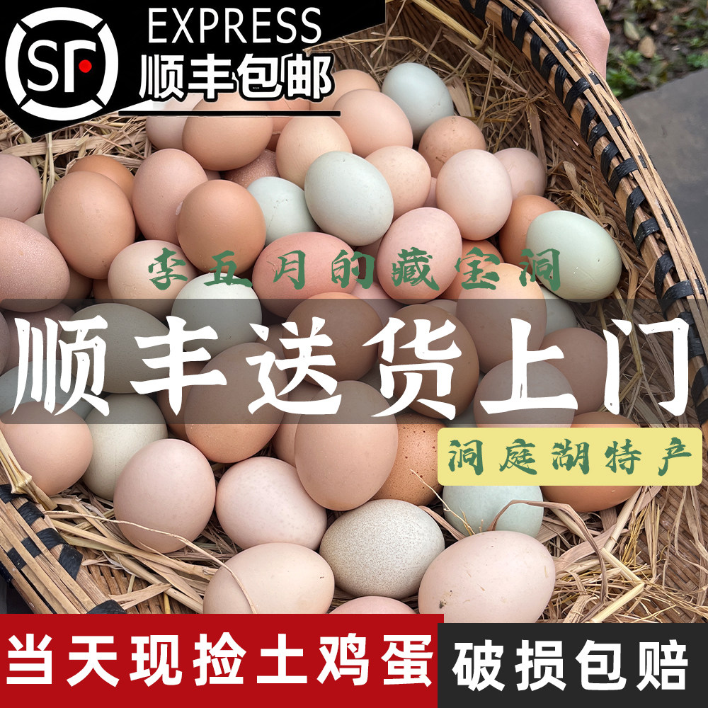 顺丰包邮散养绿壳乌骨富硒土鸡蛋