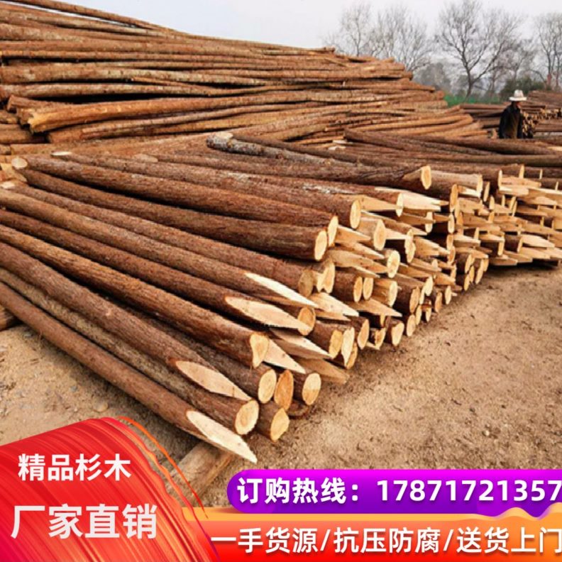 木檩松木园林条桩落叶松河道打桩绿化支撑杆精品防杉木桩洪木桩
