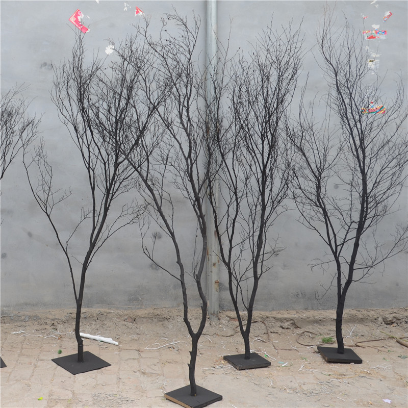 天然许愿树橱窗造景配件造型树枯树枝婚庆K婚礼活动道具黑色许愿