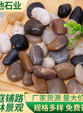 鹅卵石铺路造景雨花石庭院装饰抛光五彩石花盆鱼缸水池垫底雨花石