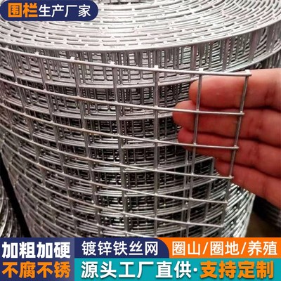 圈玉米网镀锌铁丝网棒子苞米围栏网拦鸡护栏网防鼠网钢丝网防护网