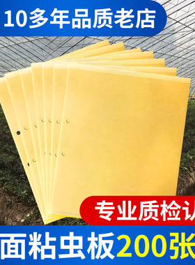 黄板双面粘虫板诱虫板纸贴黄色黏虫板灭小飞虫蓟马果园大棚 200张