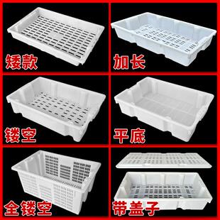 塑料水产鱼筐海鲜运输搬运周转箱加厚错位滤水网底镂空筐白色框子