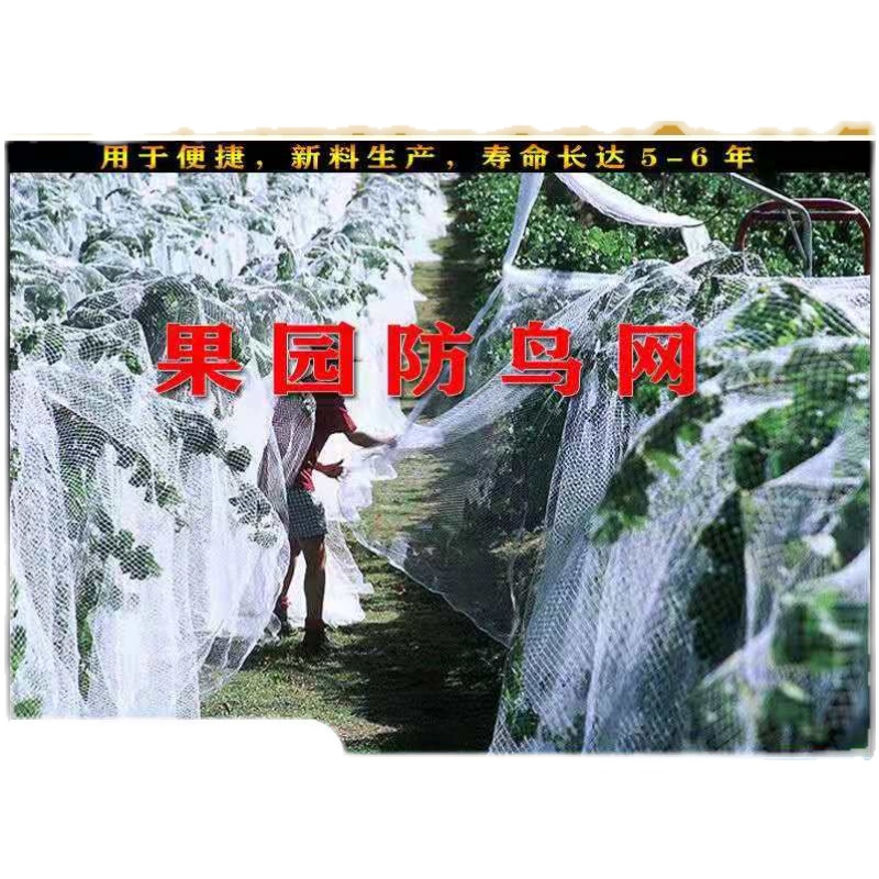 杨梅网罩樱桃防虫防风防鸟网水果树罩多肉莲雾桃树罗幔大棚专用罩