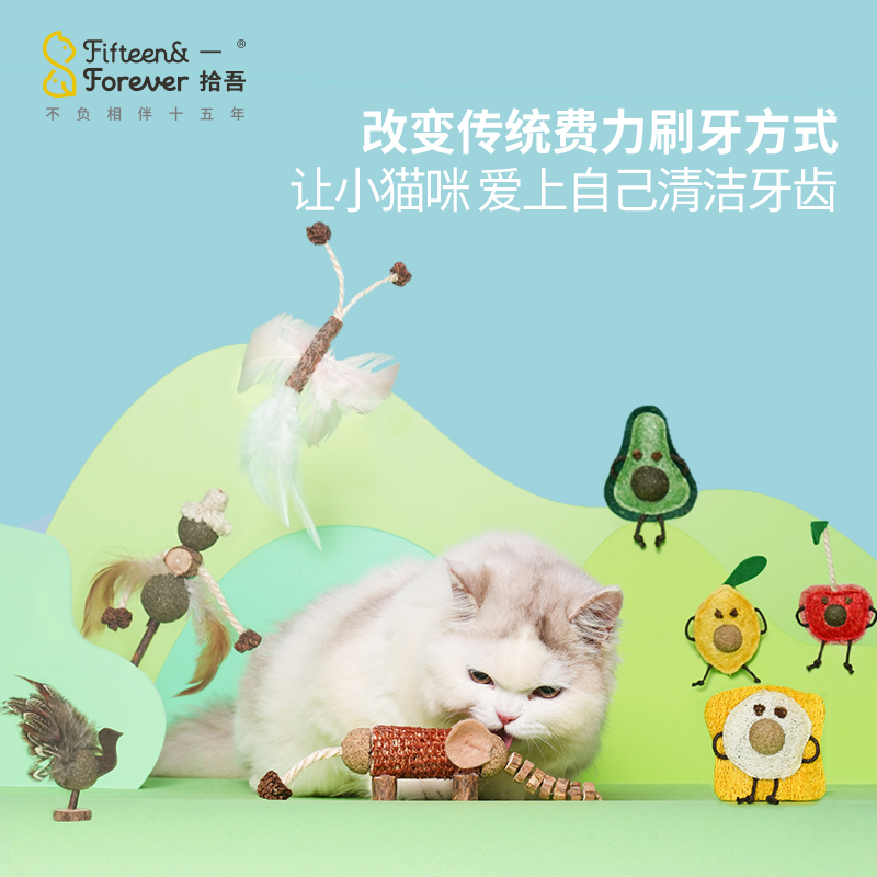 大胖商店 兽医推荐猫咪洁牙洁齿玩具 一拾吾木天蓼磨牙棒猫薄荷