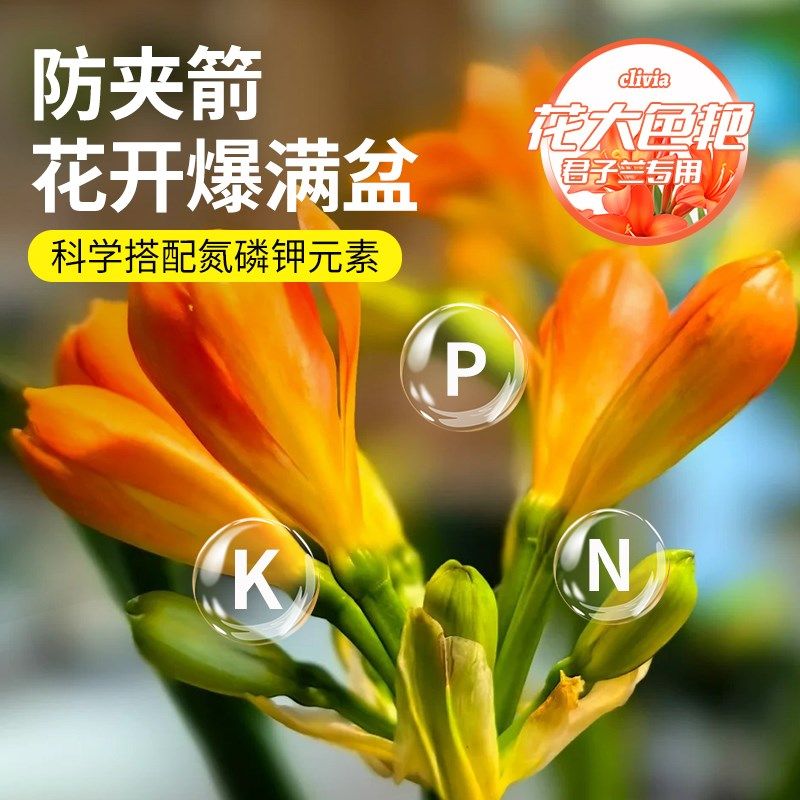 君子兰营养液花肥专用肥盆栽家用通用型养花植物绿植液体肥料兰花,鲜花速递/花卉仿真/绿植园艺,家庭园艺肥料,淘宝优惠券,粉丝福利购,淘宝优惠卷