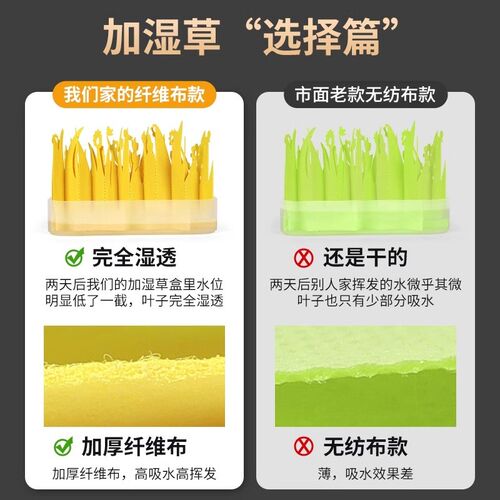 爬虫自然加湿器爬宠爬箱陆龟蜥蜴守宫饲养箱增湿保湿加湿草造景