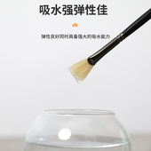 欧丝丹水粉笔装 欧斯丹色彩画笔美术生扇形笔丙烯油画猪鬃笔