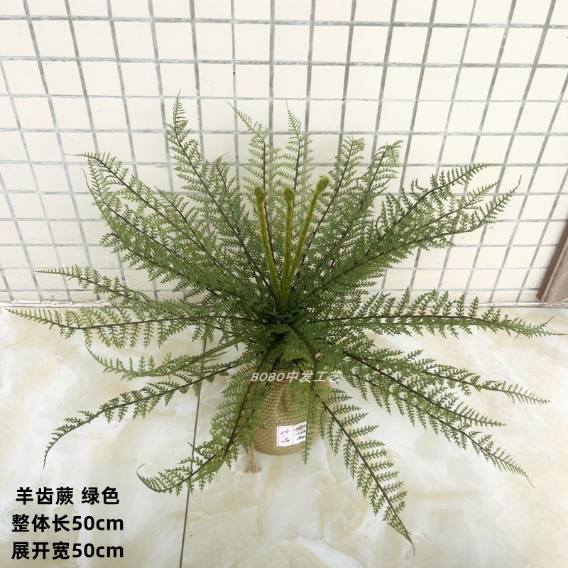 高仿真大蕨叶肾蕨蕨类蕨草植物波斯草绿植橱窗墙面造景软装摆件