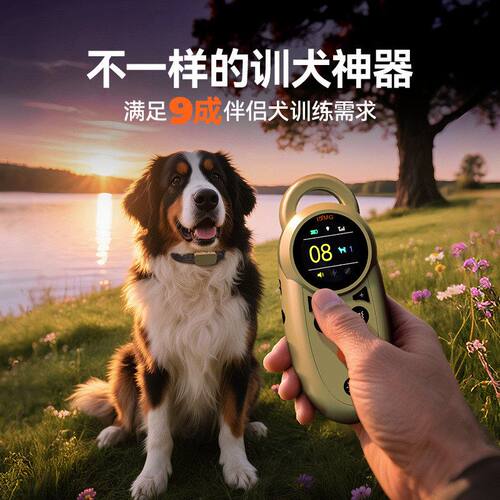 训狗器智能电击神器IDMG可项圈止狗狗吠多功能遥控调节训狗