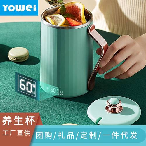 杯杯小型美规110V跨境规电220VA家用全自动养生煮便携式欧规英