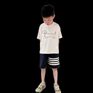 兄妹装儿童夏季男女童小中大简约白色狗狗短袖T恤短裤百褶裙子