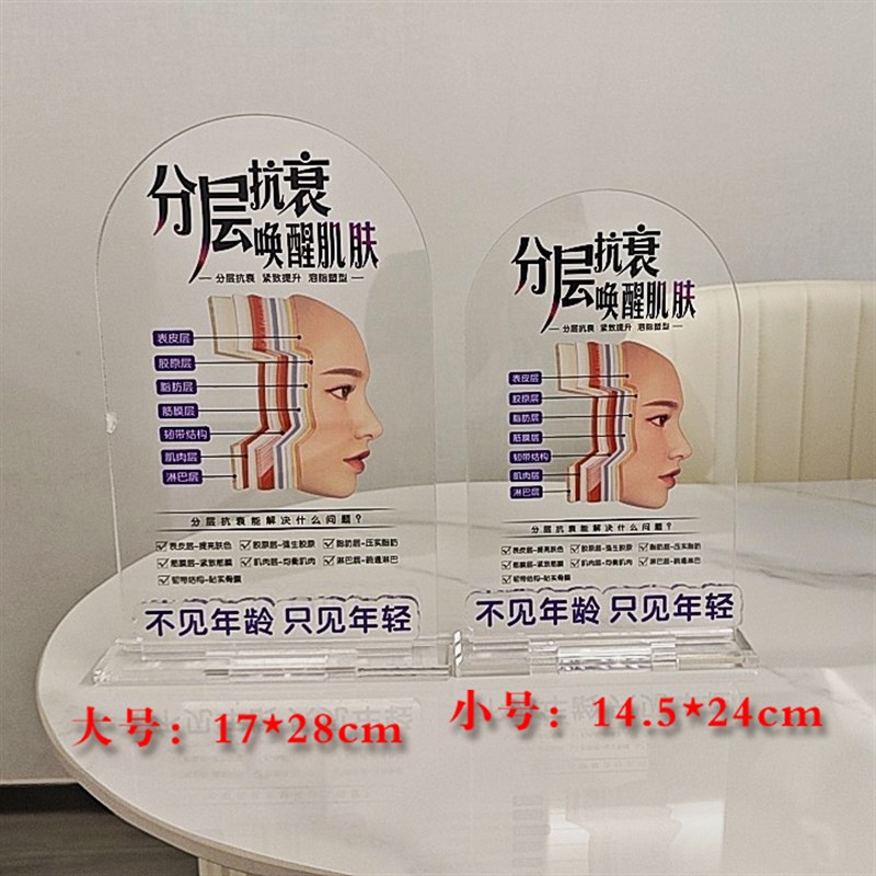 美容分层抗衰肌肤结构亚克力医学皮肤解剖知识讲解繁体医美子宫图