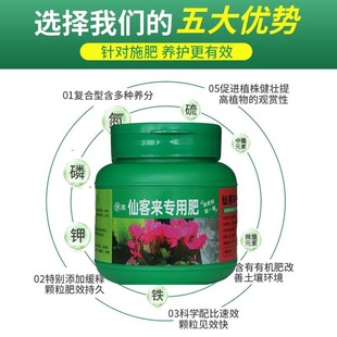 仙客来专用肥花肥家用阳台通用复合肥养花植物绿植肥料仙客来花肥