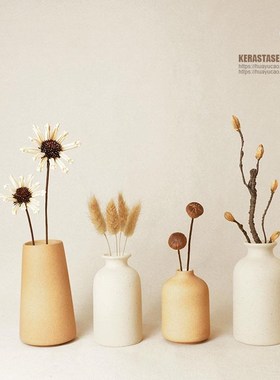 小摆件家居饰品软装客厅柜子书架电视柜日式干花茶几玄关原木风