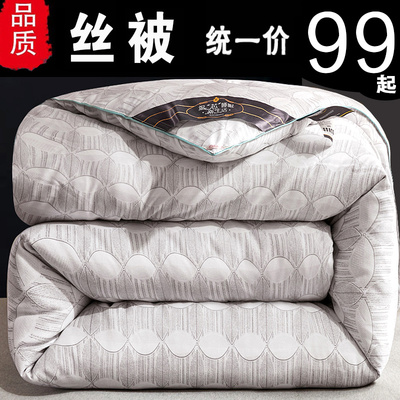 加厚保暖丝棉被芯冬天冬被双人单人春秋被秋季冬被8/10斤冬季被子