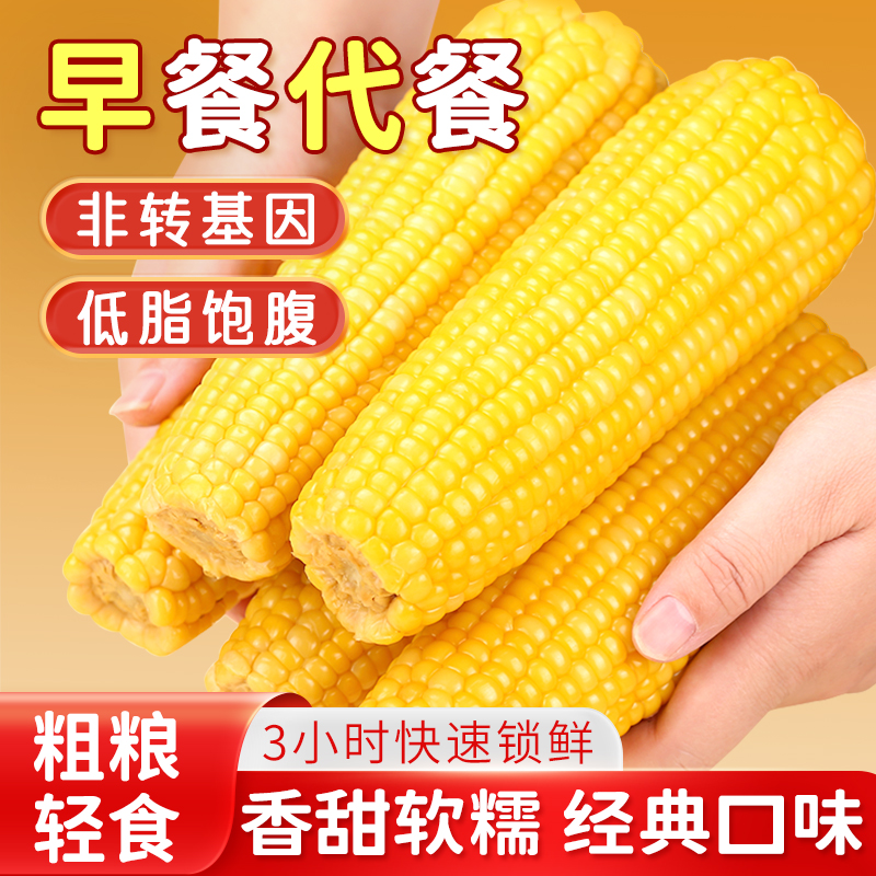 25年新黄糯玉米大棒真空装新鲜软糯香甜代餐山东大玉米家庭早餐