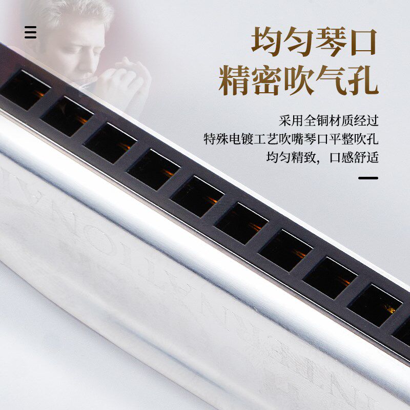 和来布鲁斯口琴调D调调调调ON十孔入门初学演奏推荐
