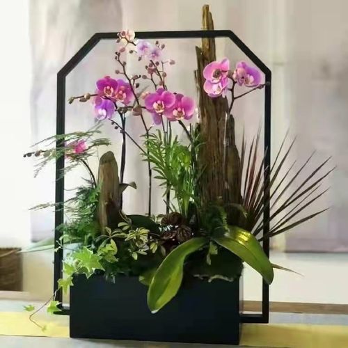 年宵架蝴蝶兰盆银柳冬青插器方管加灯带新年福桶桶