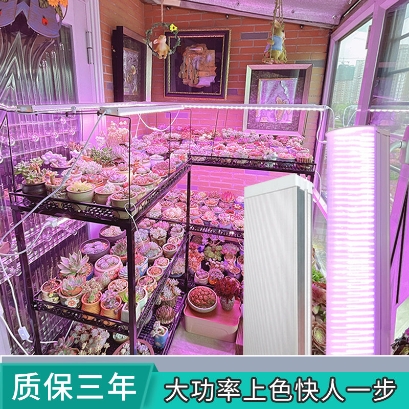 星锐多肉补光灯上色全光谱灯生长灯卉室内卉绿植