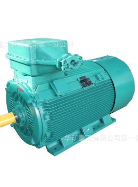 卧式安装 YBSD-200/100-4/8(1140)矿用隔爆型双速三相异步电动机