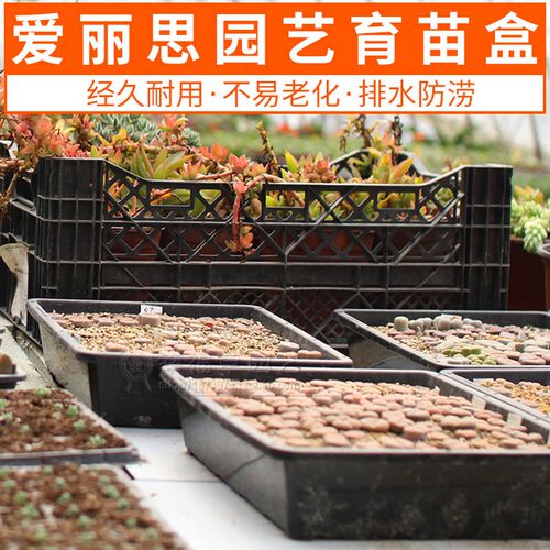 爱丽思育苗箱托盘S5育苗花盆多肉叶插盆盆栽钵育苗盆种植盆育苗盘