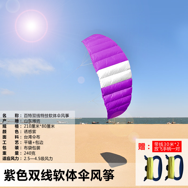 风筝特技风筝新款风筝新款特技风筝易飞潍坊风筝