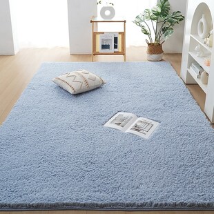 冬季加厚毛绒羊羔绒地毯客厅卧室in风房间全铺出租屋毛毯地垫