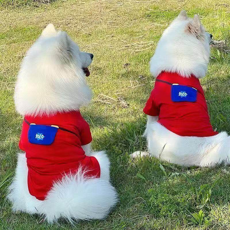 狗狗衣服夏季薄款防掉毛图片