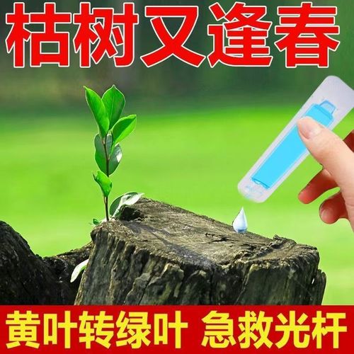 植物再生剂复活液花卉绿植盆栽光杆发黄发财树多肉生长通用营养液