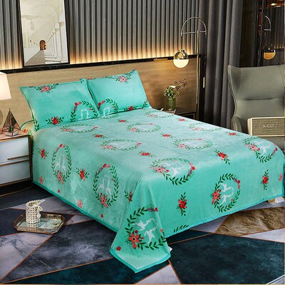 冬季加厚珊瑚绒毯绒床单单件床铺法兰绒垫单休闲保暖单人宿舍铺垫