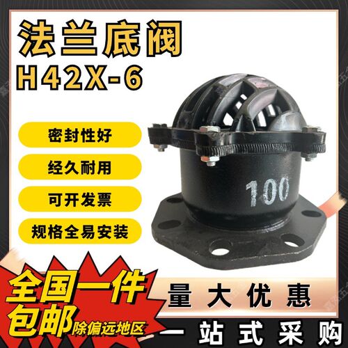 H42X-6水泵底阀 铸铁法兰底阀单向阀止回阀花篮头内螺纹 PN6