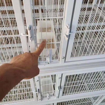 金奥鸽笼鸟笼子鹦鹉笼鼠貂笼加粗加密鸽子配对笼养殖笼子品用用具