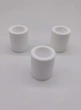 天怡祥VGT-100圆筒滤芯白色滤芯后置过滤器前置过滤器废气分析仪