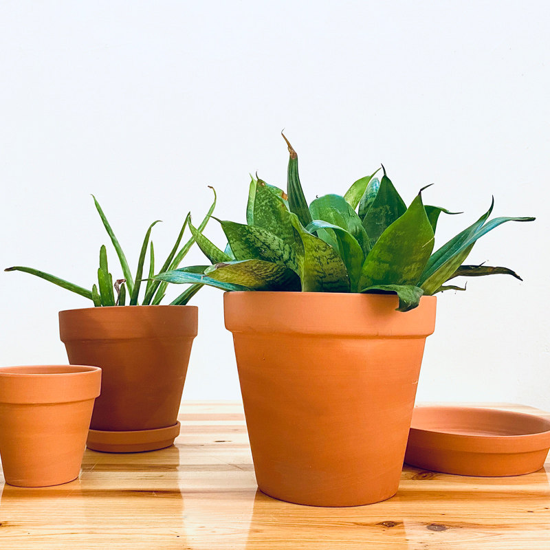 红陶花盆盆栽多肉盆兰花盆绿植透气特大号简约粗陶泥盆吸水育苗盆,鲜花速递/花卉仿真/绿植园艺,花盆,淘宝优惠券,粉丝福利购,淘宝优惠卷
