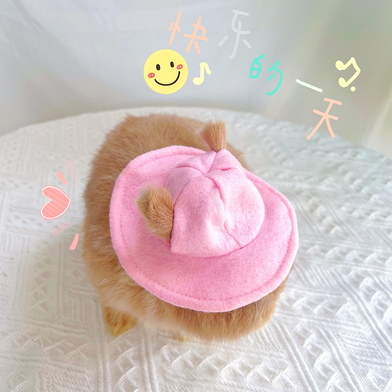 宠物兔兔穿的衣服兔子衣服配饰小帽子日式卡哇伊风小黄帽凹氛围感