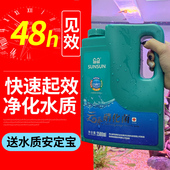 森森活力硝化细菌鱼缸净水剂活力硝化菌养鱼非药水水质净化稳定剂