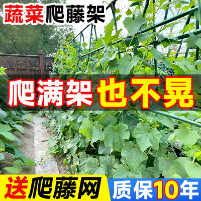 黄瓜爬藤架子豆角架杆种菜蔬菜搭棚子支架花架植物支撑杆包塑钢管