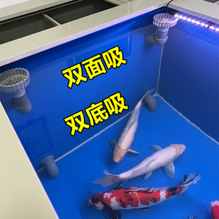 大型锦鲤鱼池多功能沉淀干湿分离静音过滤pp塑料户外室内养殖鱼箱